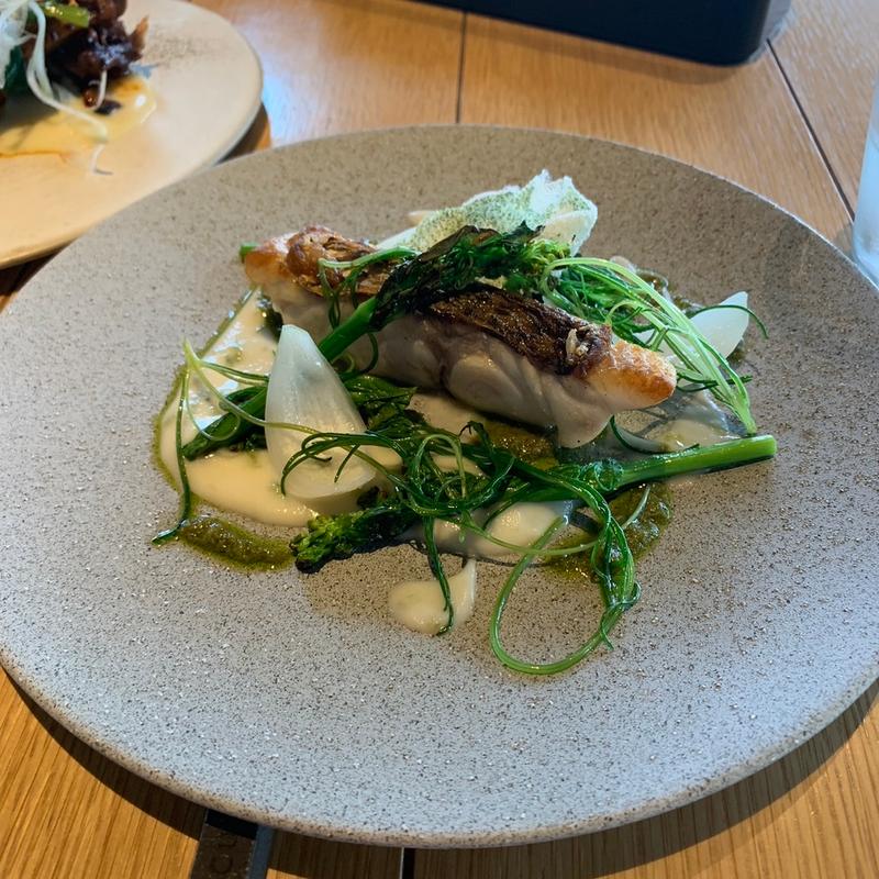 バーミキュラフライパンでソテーした真鯛と菜の花　カブのソースとふきのとうのピュレ(バーミキュラ レストラン ザ ファウンダリー)