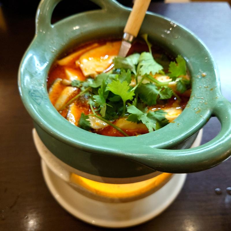 トムヤム クン Tom Yam Kung


(M)(バンコクオーキッド )