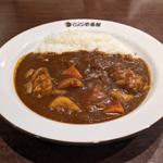 焙煎スパイスのチキンカレー