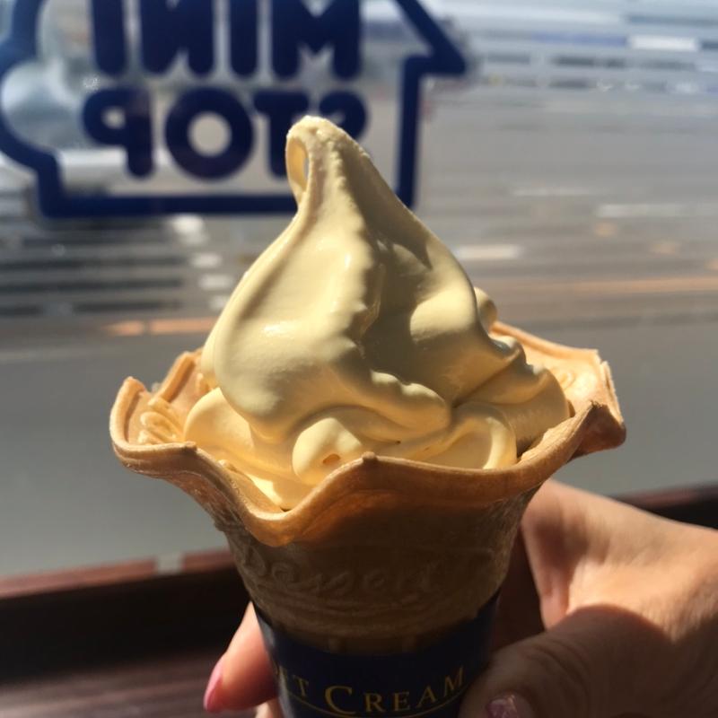 白桃アイスクリーム(ミニストップ 各務原前渡東町店 （MINI STOP）)