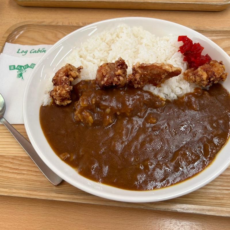 カレーランチ(まんが喫茶 ログキャビン 常滑店 )