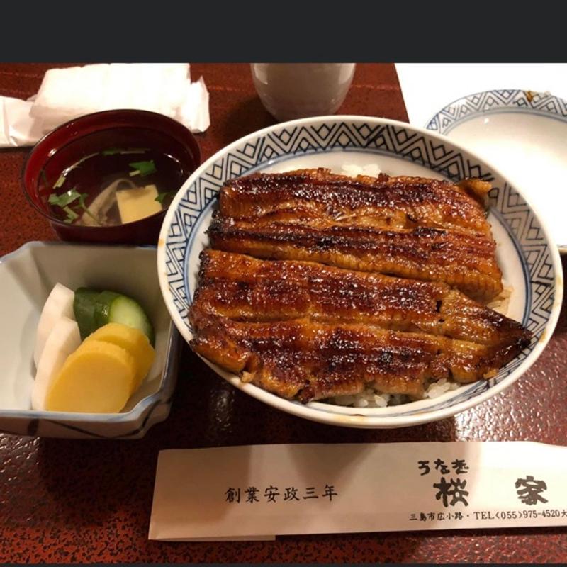 うな丼　1匹(うなぎ 桜家)