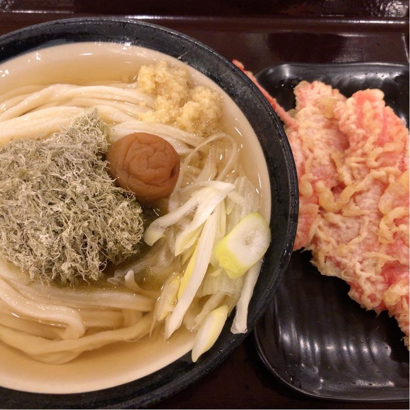 梅昆布うどん(冷)(手打うどん いわしや)