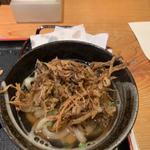 ごぼう天うどん(ハーフ)