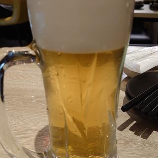 生ビール(格安ビールと鉄鍋餃子 ３・６・５酒場 大井町店

)