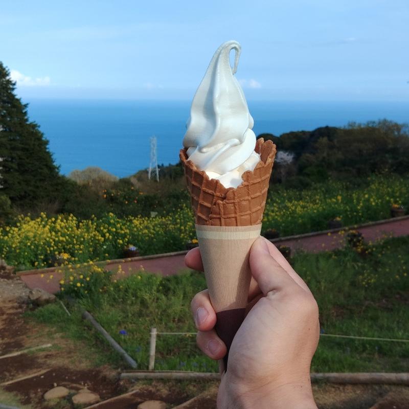 ソフトクリーム(一夜城ヨロイヅカファーム)