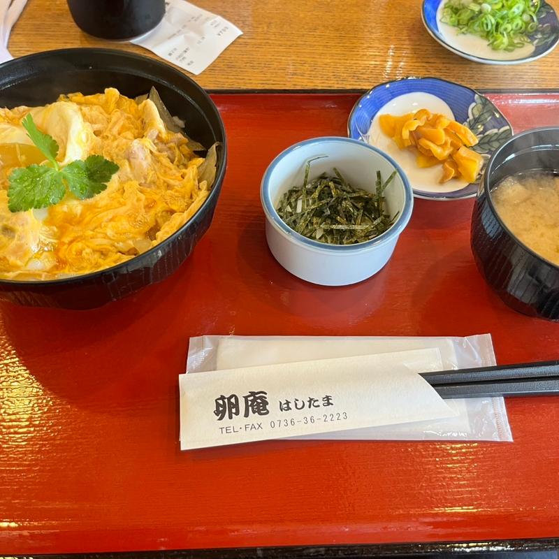 親子丼(卵庵　はしたま （ランアン）)