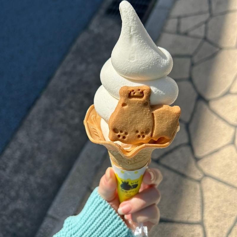 ソフトクリーム(熱海プリン2nd)