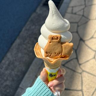 ソフトクリーム(熱海プリン2nd)