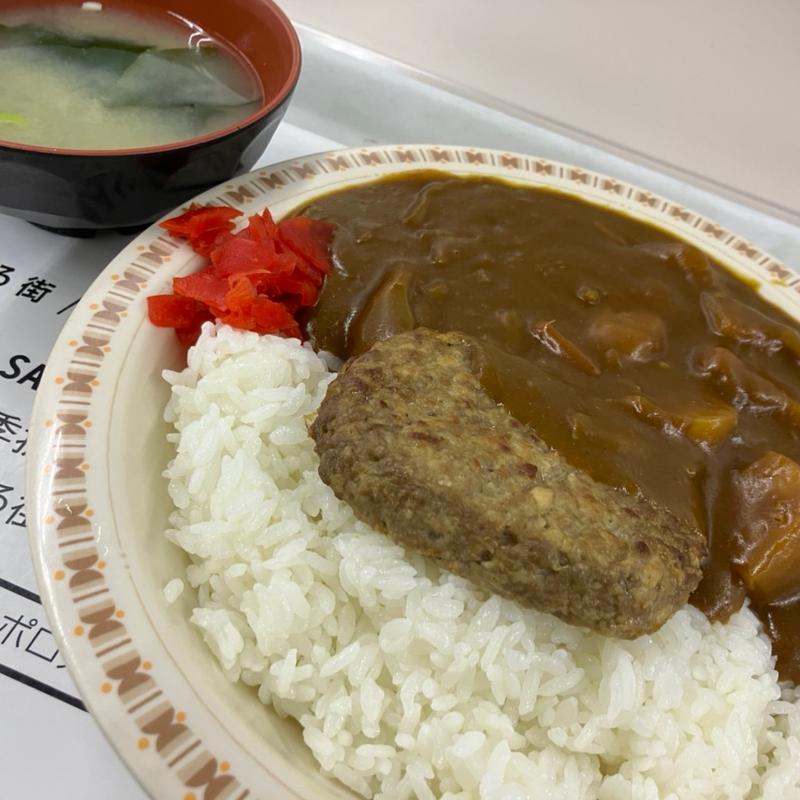 ハンバーグカレー(札幌市役所地下食堂)