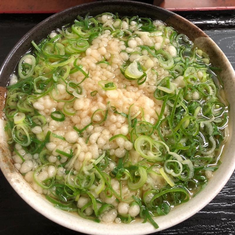 はいからうどん(立喰いうどん 河内うどん)