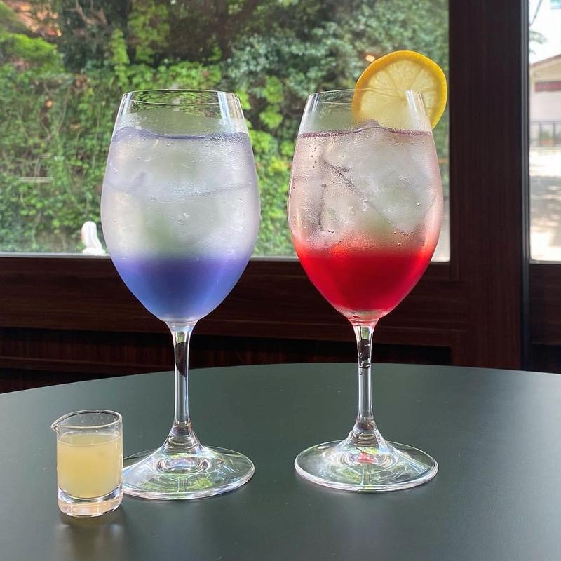 アオイソーダ アカイソーダ(茶珈堂)