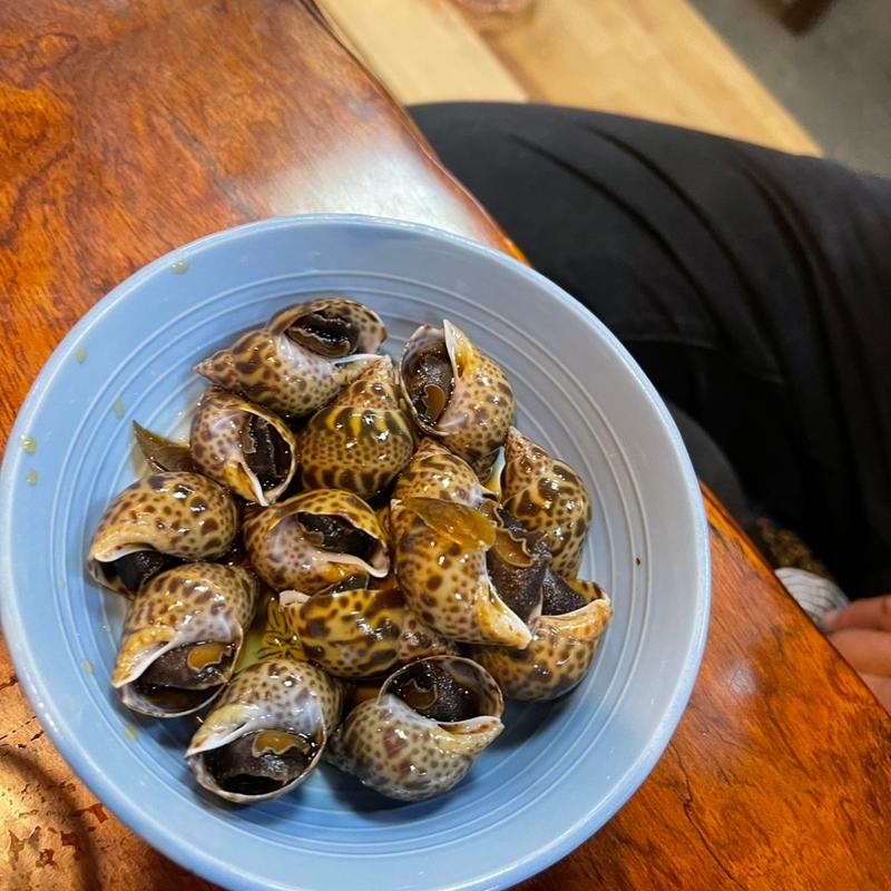 ばい貝(魚万ずし )