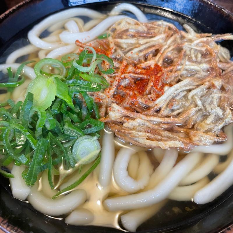 ごぼう天うどん(大力うどん)