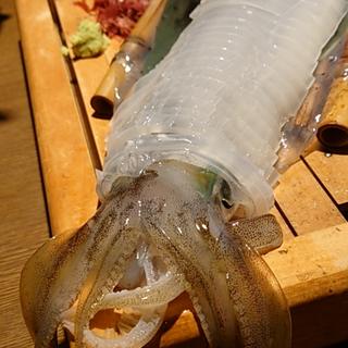 イカの活造り(大)(居酒屋 まる家 西中洲 （まるや）)