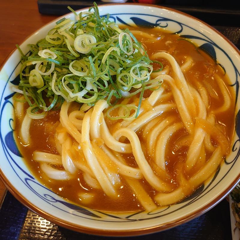 カレーうどん 大(丸亀製麺 筑西店 )