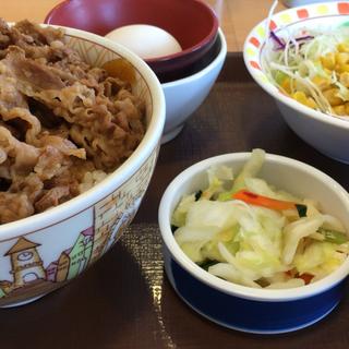 牛丼セット(すき家 足利葉鹿店)