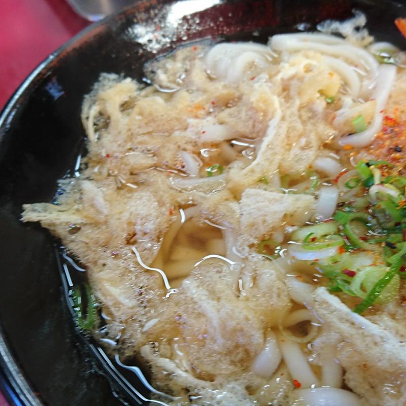 天ぷらきざみうどん(たつみや)