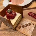 colony 季節のケーキ house(COLONY by EQI 心斎橋アメ村店)