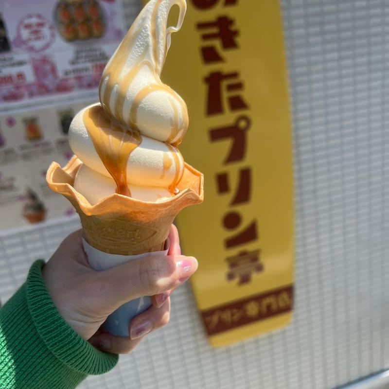 ぷりんソフト(みちのく懐かしの味 あきたプリン亭)