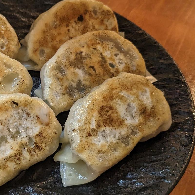 スパイシーマトン餃子(横浜 PARTY GYOZA)