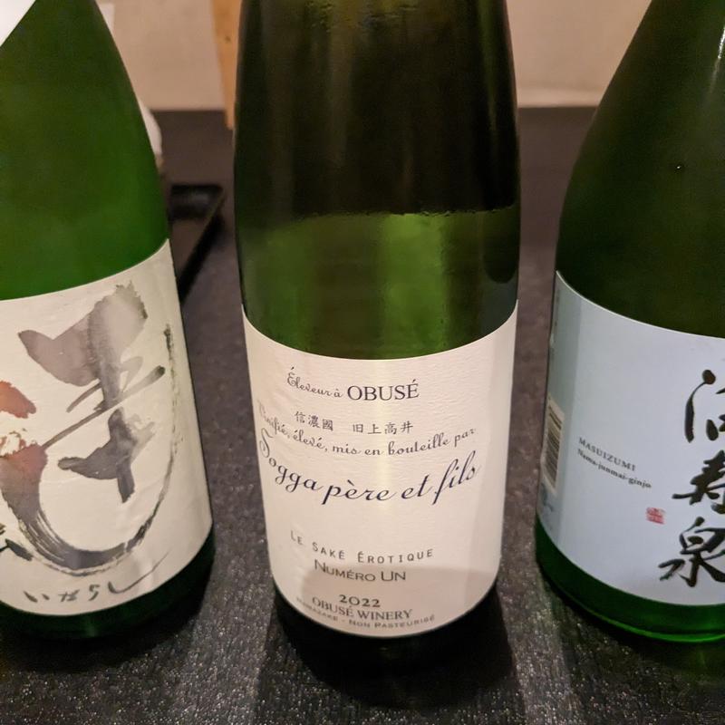 ソガペールエフィス(彬 （あきら）)