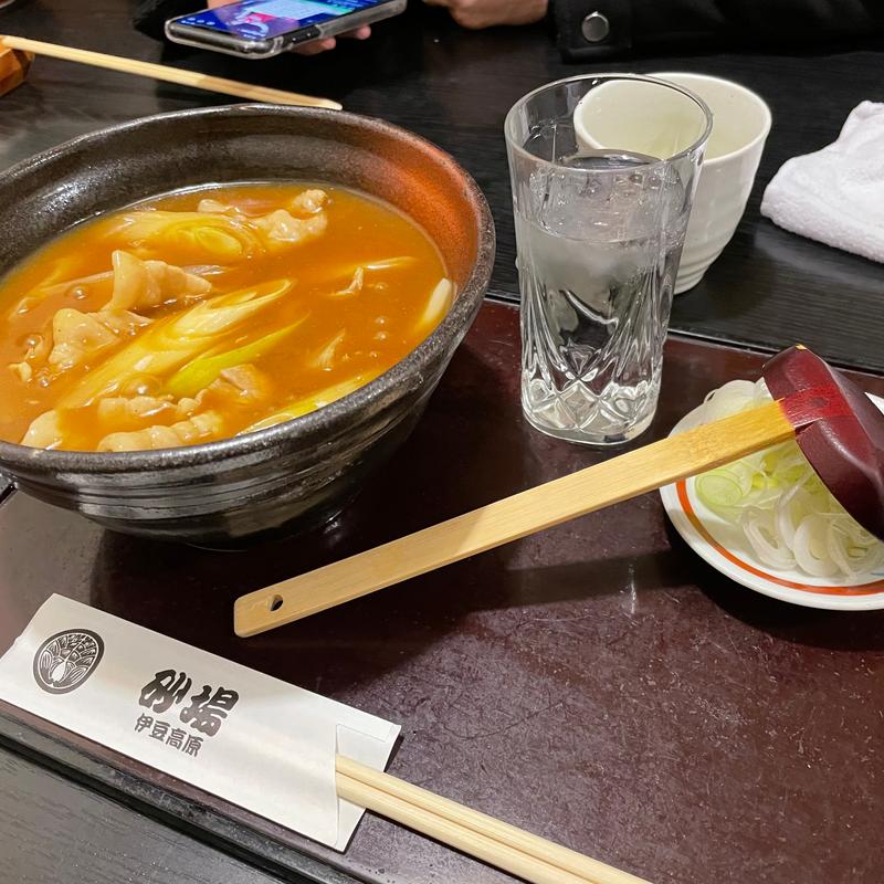 もちぶたカレーうどん(手打そば 砂場 伊豆高原 （てうちそば すなば いずこうげん）)