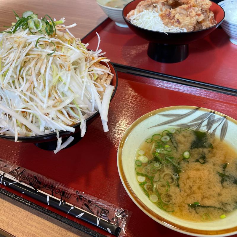 ねぎ塩唐揚げ丼(から揚げ専門店 匠家)