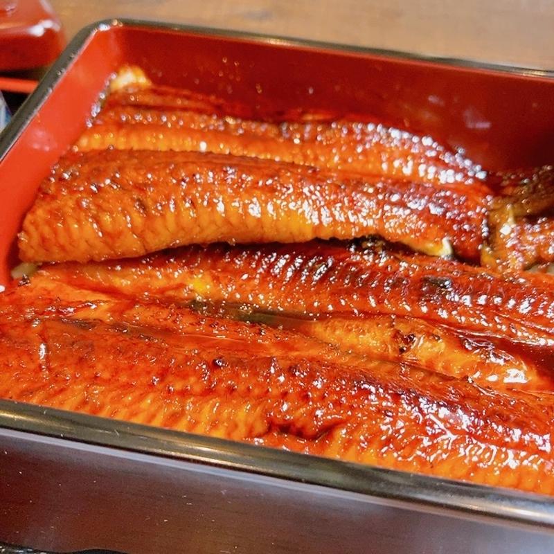 鰻重　特上(kumaneko parlour)