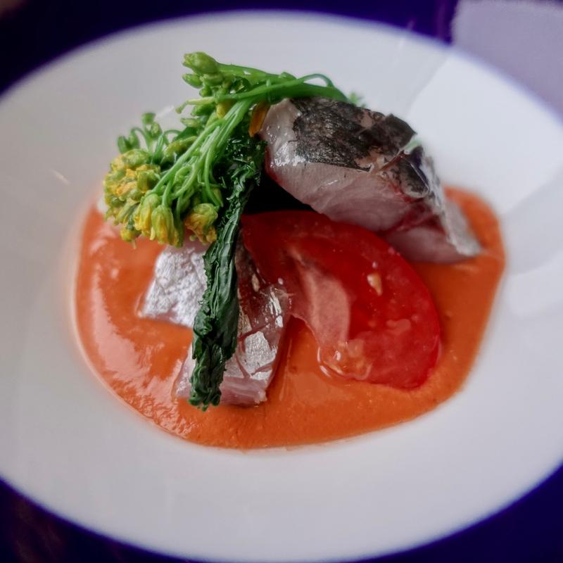 鰆(anchoa アンチョア)