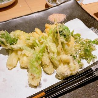 山菜の天ぷら(みこし鶴一 )
