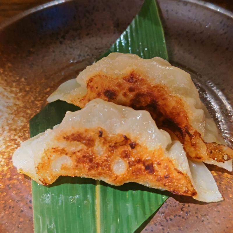 まぐろ餃子(三崎まぐろ専門店 Tunaがる)