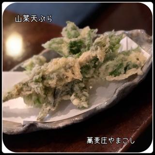 季節の天ぷら（ハーフ）(蕎麦庄 やまこし （そばしょう やまこし）)