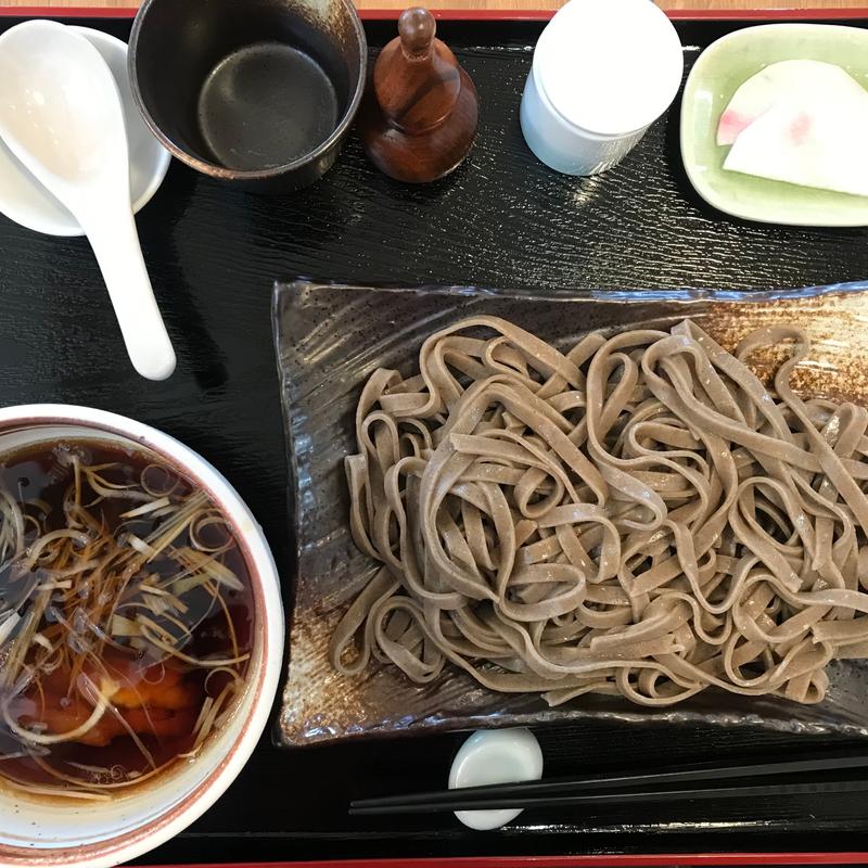 つけ汁肉そば並盛り(蕎麦カフェ田伝)