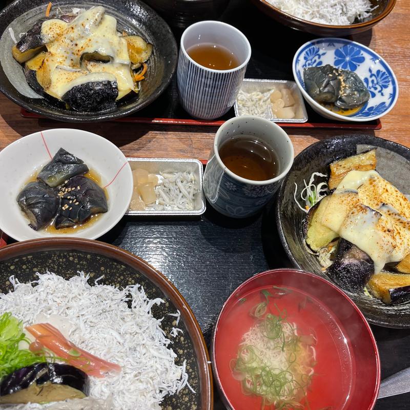 釜揚げちりめん丼プラスドロメ丼セット(安芸しらす食堂 とさのさと店)