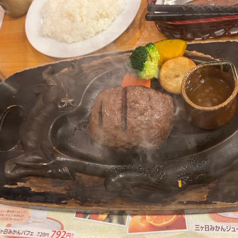 おにぎりハンバーグ(さわやか　沼津学園通り店)