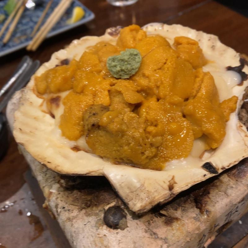 ウニグラタン(Jige BARRACUDA （ジゲ）)