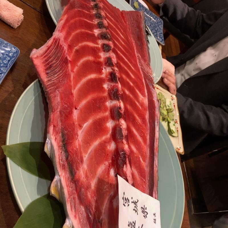 マグロの中落ち(Jige BARRACUDA （ジゲ）)