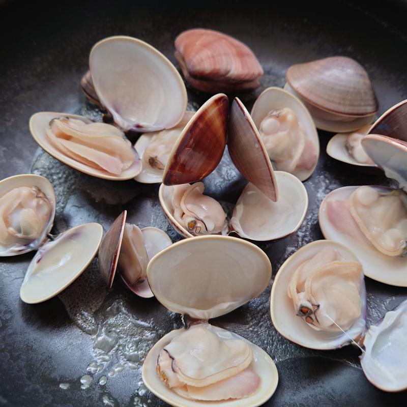 はまぐり(太平洋沿岸)