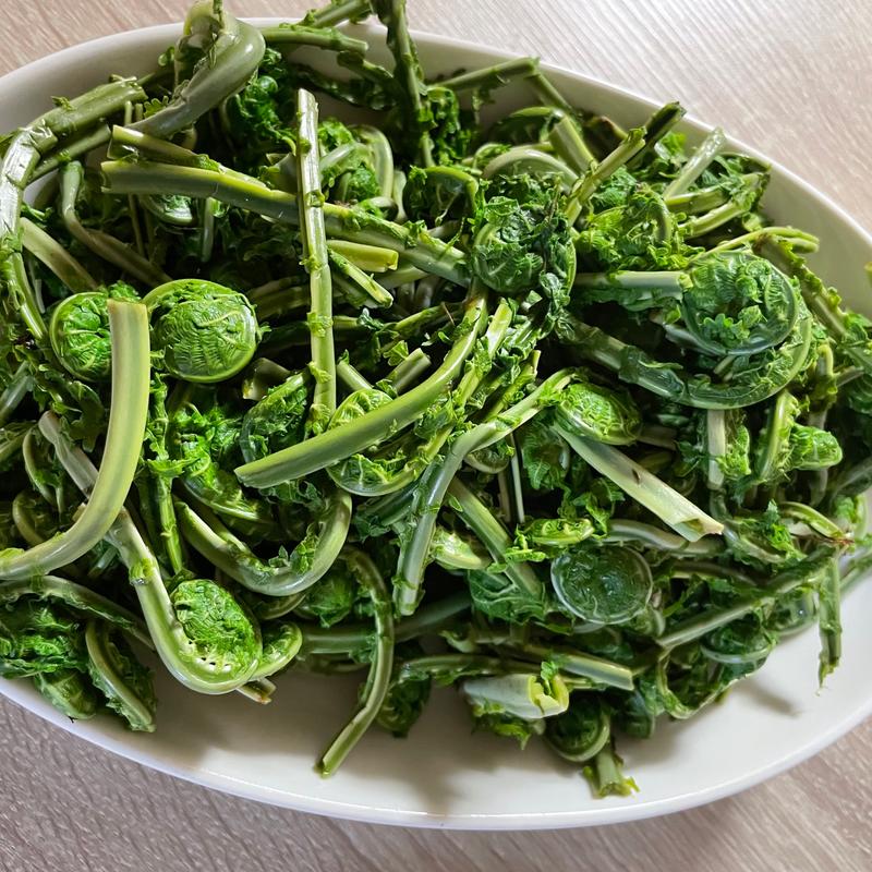 こごみのおひたし(旭町)