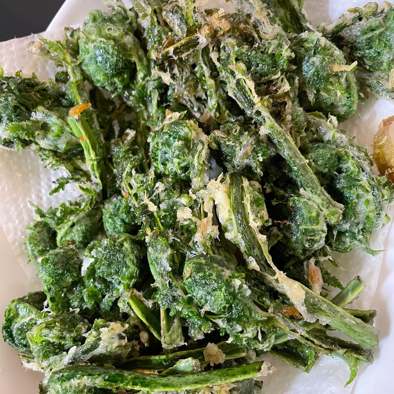 こごみ天ぷら(旭町)