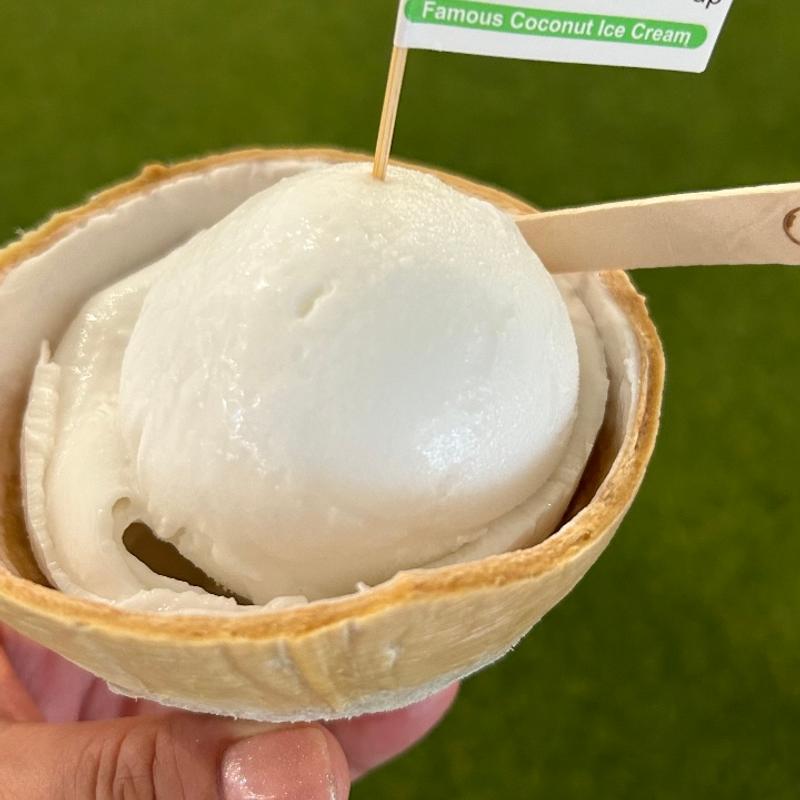 ココナッツアイス(Co-Nut-Ink)