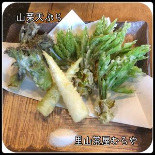 山菜天ぷら(里山茶屋 むろや)