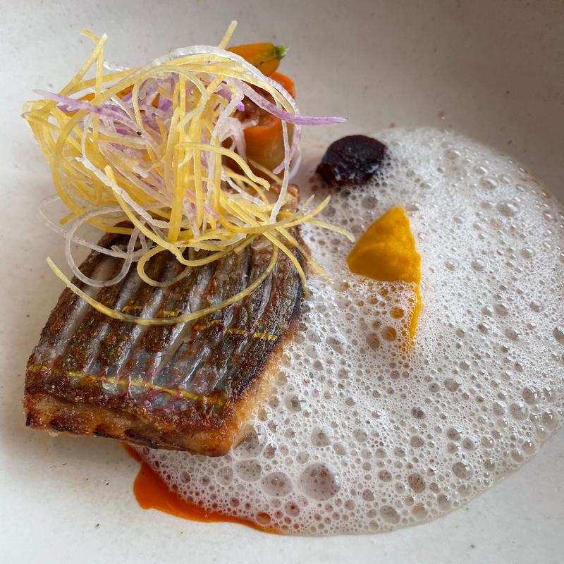 【ティルブルフコース】メイン《本日の鮮魚》イトヨリ(SMAAK by Jacob Jan Boerma)