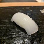 アオリイカ