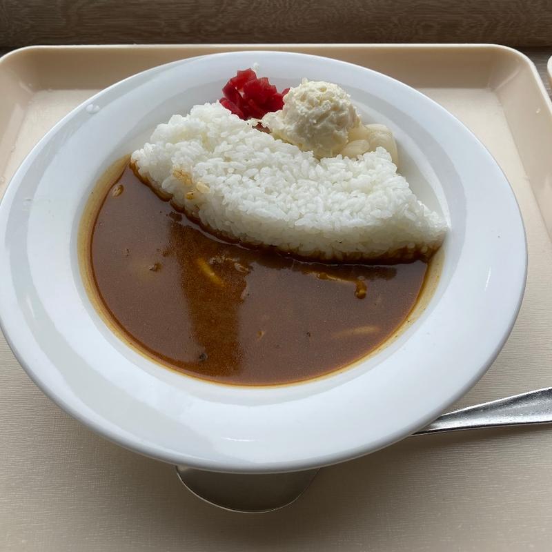 アーチダムカレー(黒部ダムレストハウス )