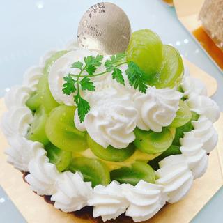 シャインマスカットのタルトケーキ(西洋菓子 おだふじ (大泉学園店))