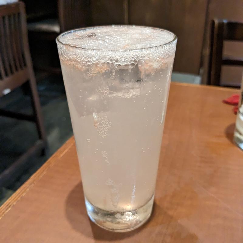 生グレープフルーツサワー(橙)