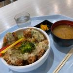 ねぎ塩唐揚げ丼(園原レンタルスキー)
