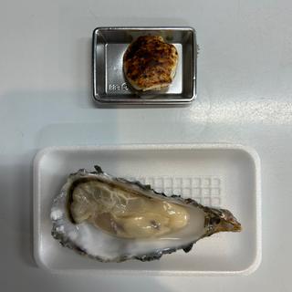 生かき(築地 中原水産)